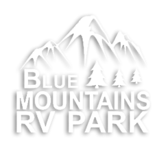 Blue Mountains RV Park Eureka, MT